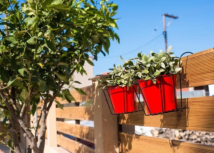 شقة Vintage يميناريا